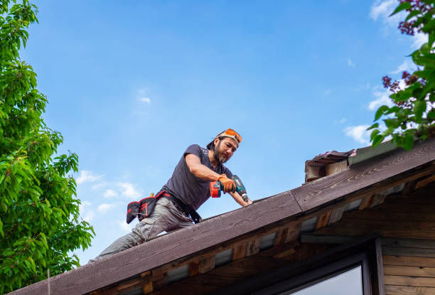 Best Roof Insulation Installation  in Holland, MI