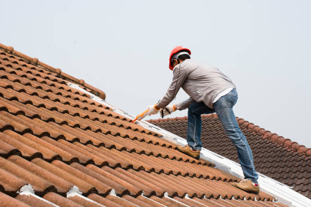 Best Tile Roofing Installation  in Holland, MI