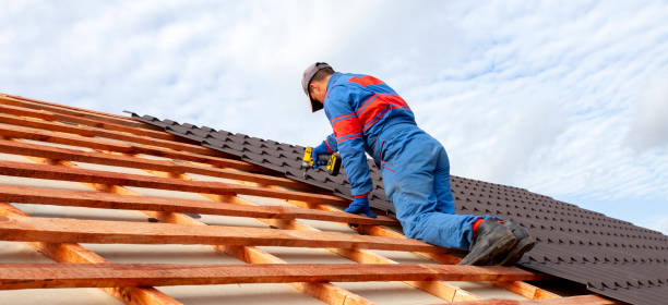 Best Rubber Roofing (EPDM, TPO)  in Holland, MI