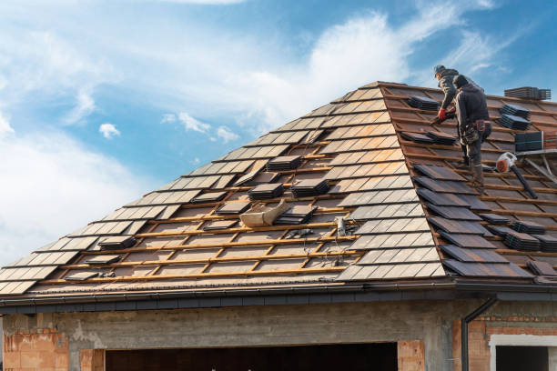 Best Emergency Roof Repair Services  in Holland, MI