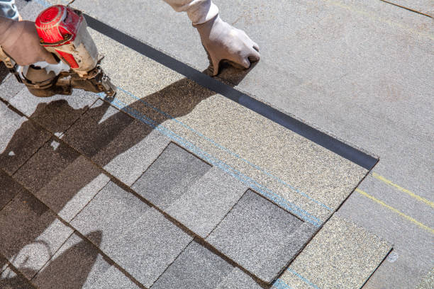 Fast & Reliable Emergency Roof Repairs in Holland, MI